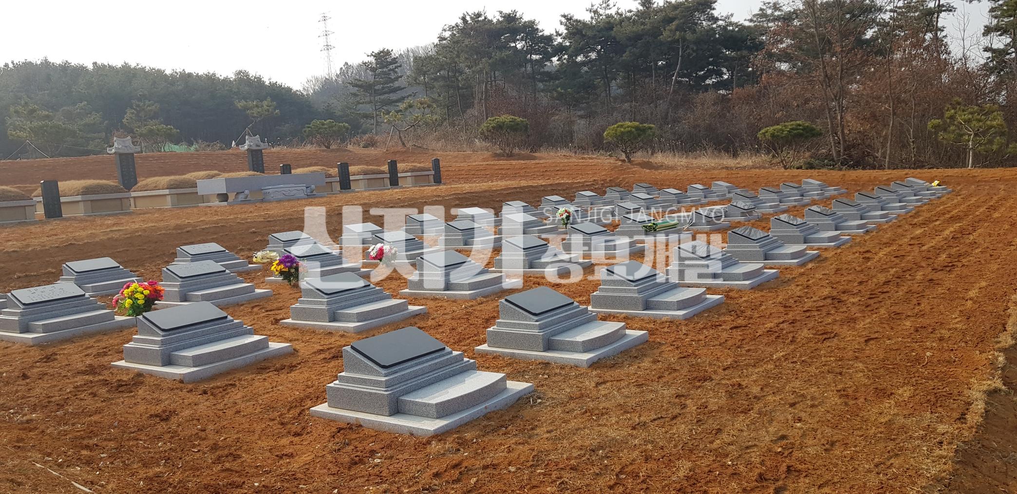 /user/s/sanjigi/editor/2601/50d273a022939bd4264a0be9f2abc935_1767849457_4004.jpg 이미지크게보기