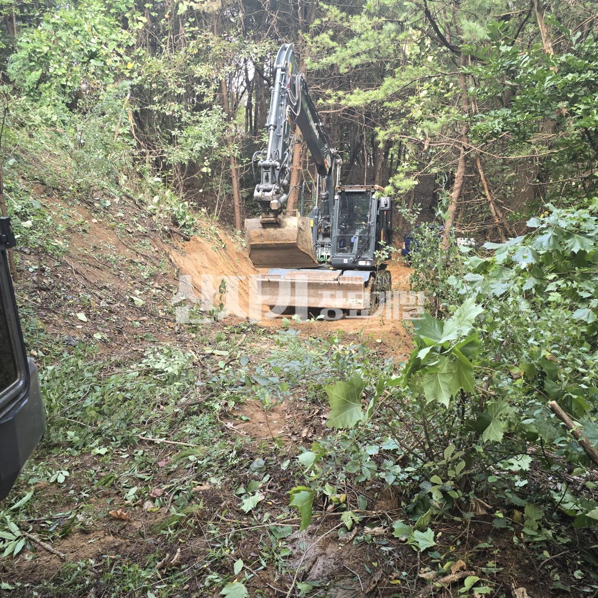 /user/s/sanjigi/editor/2601/6420015d5e3ce926bdf7031797c75ce4_1769666758_3248.jpg 이미지크게보기